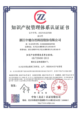 品牌中德知識產(chǎn)權(quán)服務(wù) 跨越國界的專業(yè)守護