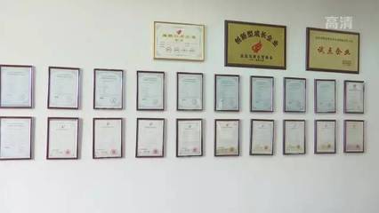 雷幫軍 以智慧之眼賦能宜昌，開拓軟件開發新紀元